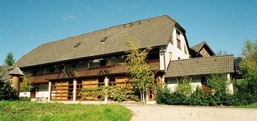 Guest House Turisticna Kmetija Plaznik Ljubno Ngoại thất bức ảnh