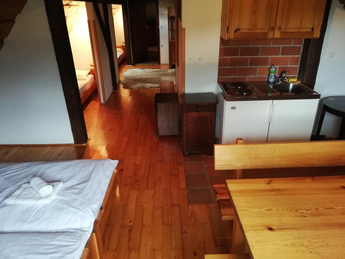 Guest House Turisticna Kmetija Plaznik Ljubno Ngoại thất bức ảnh