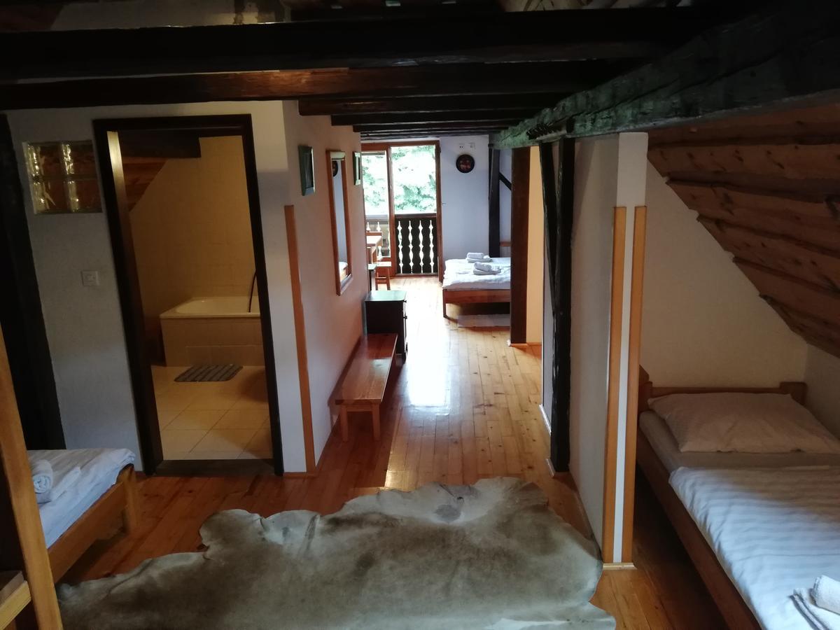 Guest House Turisticna Kmetija Plaznik Ljubno Ngoại thất bức ảnh