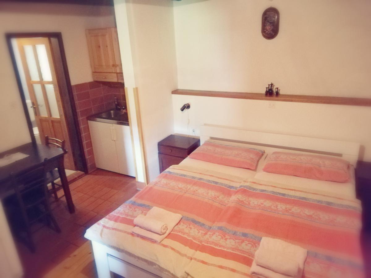Guest House Turisticna Kmetija Plaznik Ljubno Ngoại thất bức ảnh