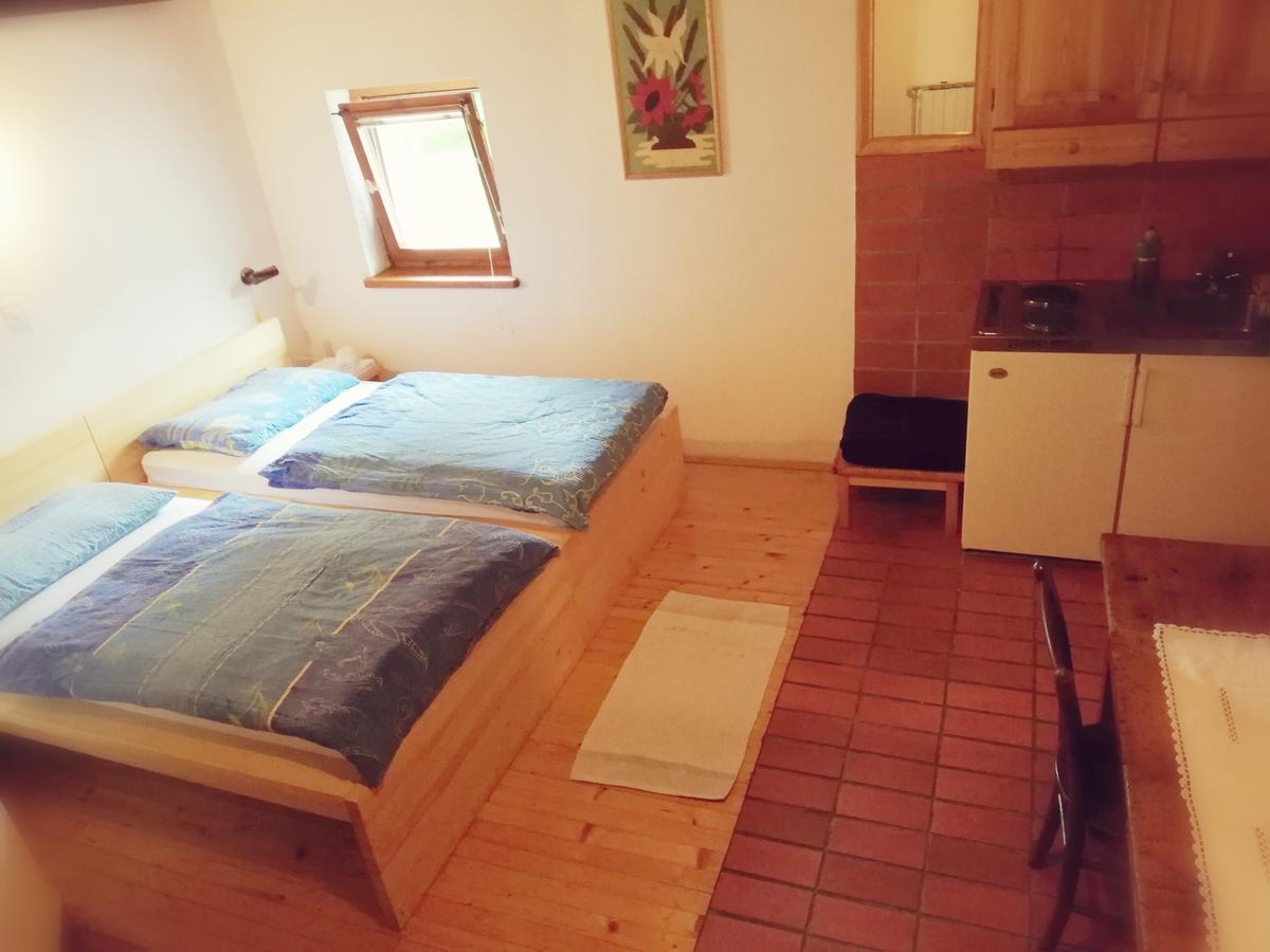 Guest House Turisticna Kmetija Plaznik Ljubno Ngoại thất bức ảnh